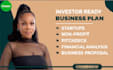 develop investor ready business plan with a professional financial projections