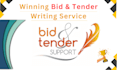 expert bid, tender and rfp writer, winning a tender for your success