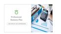 write you a professional business plan in german and english