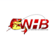 design bowfishing logo in 1 day