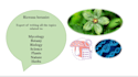 write quality based research articles on mycology botany biology