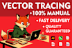 convert your illustration or image to clean vector manually