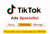 create tik tok video ads campaign for your business