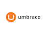 make websites using umbraco