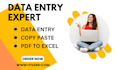 do accurate and fast data entry, copy paste, web research