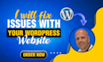 fix issues with your wordpress website