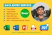 do perfect data entry,copy paste,data mining,web research