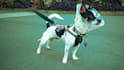 retouch and enhance your photos