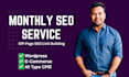 do complete monthly SEO service with quality backlinks