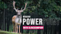 create modern powerpoint presentation design and company pitch deck