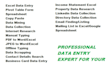 accurate excel data entry  with fast turnaround