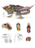 draw a great monster design