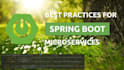 do java web springboot microservice application