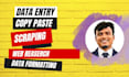 do data entry, CRM, copy paste, scrapping, web research, typing