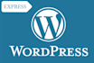 quickly fix your any wordpress problems, errors etc in 1 hr