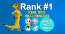do full SEO optimization and update website content
