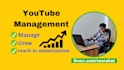 be your youtube manager to grow your channel