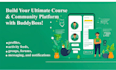 customize your buddyboss platform or create custom plugin