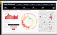 create professional power bi dashboard within 24 hours