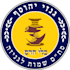 make a modern and unique logo in hebrew