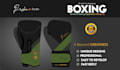 do professional boxing gloves designs