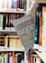 do non fiction book cover design within 24 hours