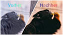 edit your pictures top bildbearbeitung nach wunsch