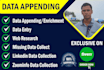 do data appending enrichment and data entry