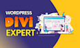 do divi theme customization divi expert with divi builder