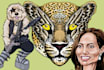 draw custom creative illustrations
