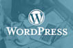 customize, redesign, develop responsive wordpress website