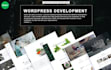 create a professional and responsive wordpress website