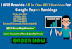 provide you all in one monthly SEO services
