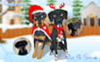 draw your pet portrait in a disney style cartoon illustration
