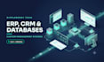 develop a custom erp, CRM or database management system