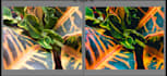 edit your photos in adobe lightroom