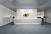 do outstanding office wall, website, and all type mockup