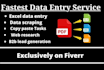 do fastest data entry, copy paste  in one day
