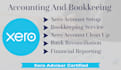 provide bookkeeping and accounting service for xero