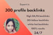 build 300 dofollow seo profile backlinks,link building