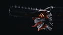 make quality 3d product animation, 3d scenes, 3d models