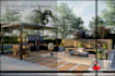 do 3d landscape of backyard front yard pool patio deck plant