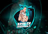 design professional twitch and kick overlay,logo and screens