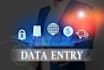 data entry hourly for you