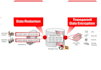 configure oracle security feature tde,dv on your database