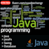 do java, ruby on rails programming, projects and bug fixing