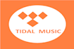 do powerful tidal music promotion to targeted audience