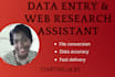 do data entry in excel accurately and also web search