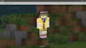 make the minecraft skins you want