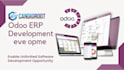 provide odoo development services, module development